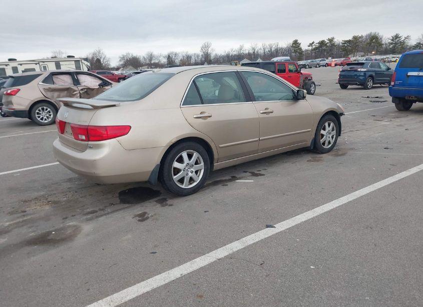 Photo 4 of 2005 Honda Accord 3.0 EX (VIN 1HGCM66565A080138)