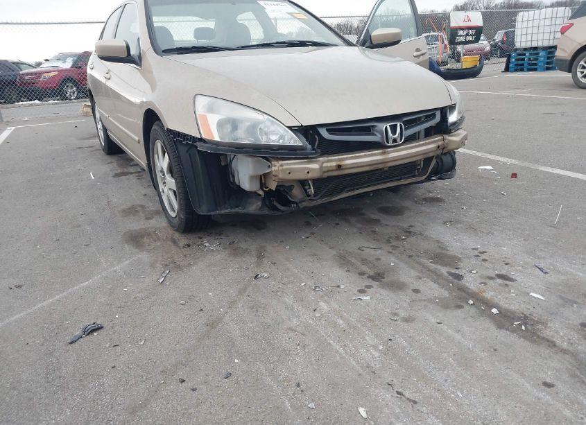 Photo 6 of 2005 Honda Accord 3.0 EX (VIN 1HGCM66565A080138)