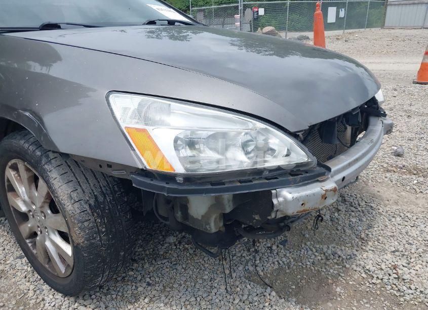 Photo 12 of 2006 Honda Accord 3.0 EX (VIN 1HGCM66566A038151)