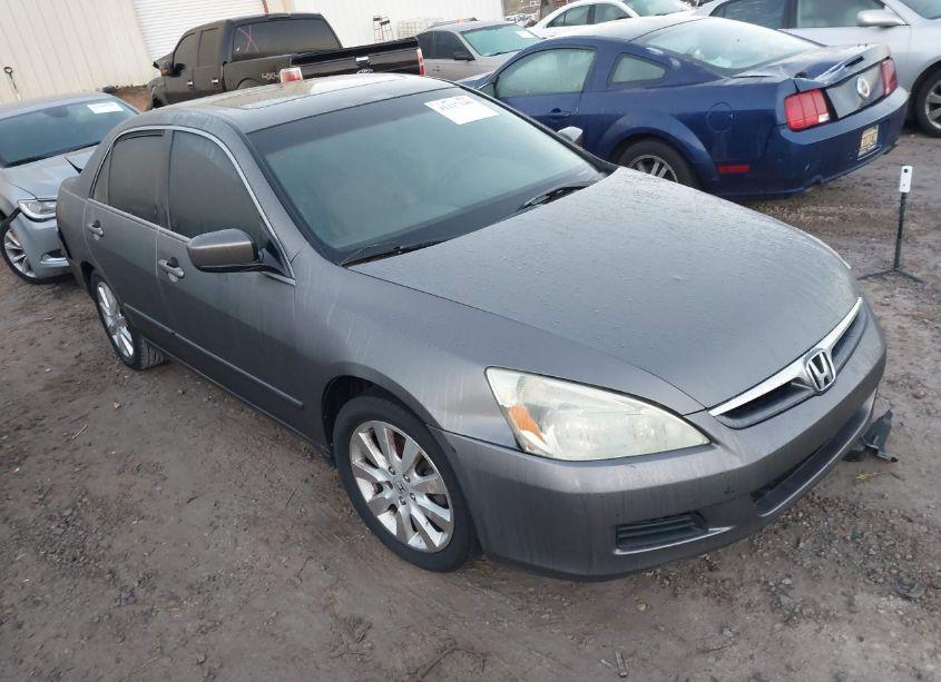 2007 Honda Accord 3.0 EX (VIN 1HGCM66567A009900) main photo