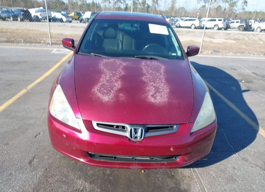 Photo 6 of 2004 Honda Accord 3.0 EX (VIN 1HGCM66574A086156)