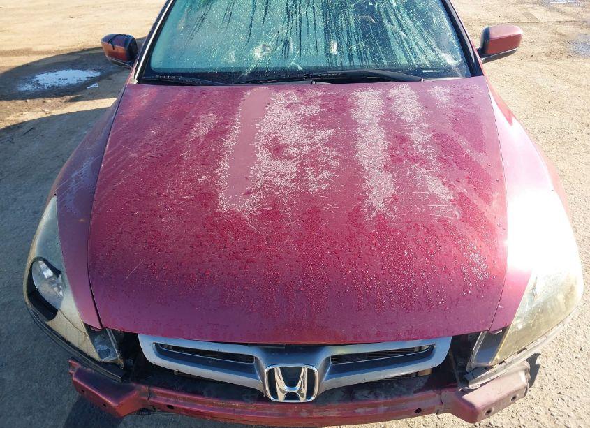 Photo 10 of 2004 Honda Accord 3.0 EX (VIN 1HGCM66574A093091)