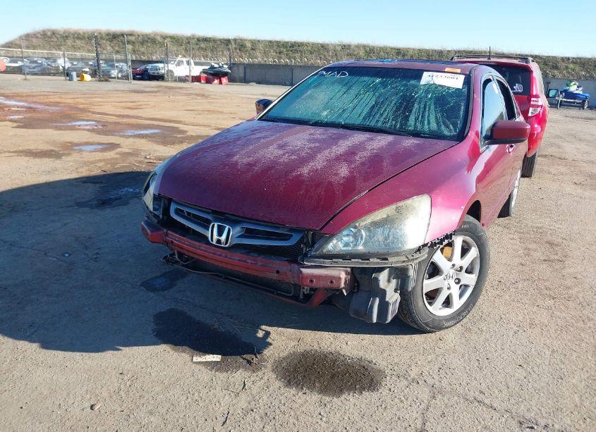 Photo 6 of 2004 Honda Accord 3.0 EX (VIN 1HGCM66574A093091)