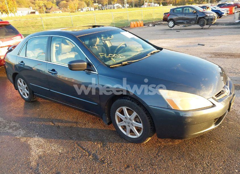 2004 Honda Accord 3.0 EX (VIN 1HGCM66584A013085) main photo