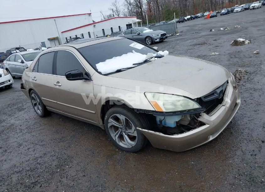 2004 Honda Accord 3.0 EX (VIN 1HGCM66584A014284) main photo