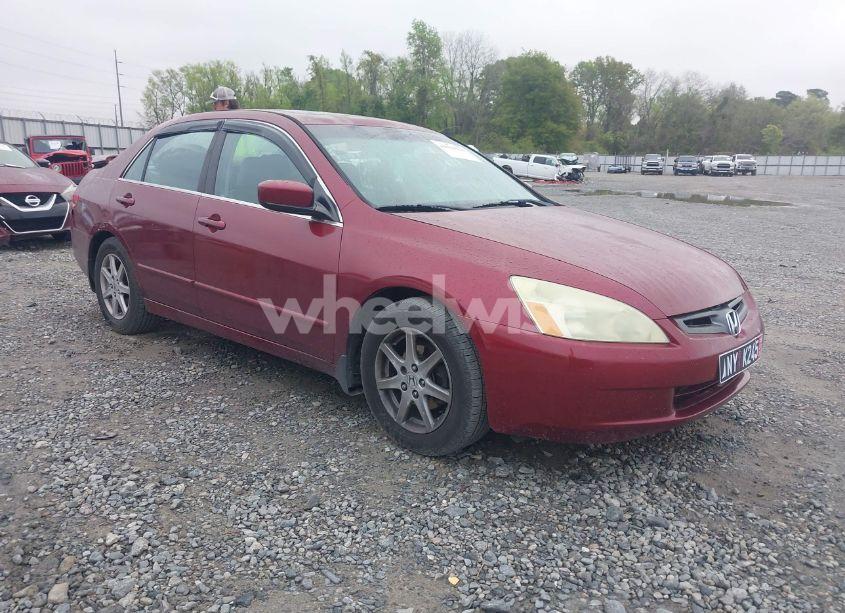 2004 Honda Accord 3.0 EX (VIN 1HGCM66584A034776) main photo