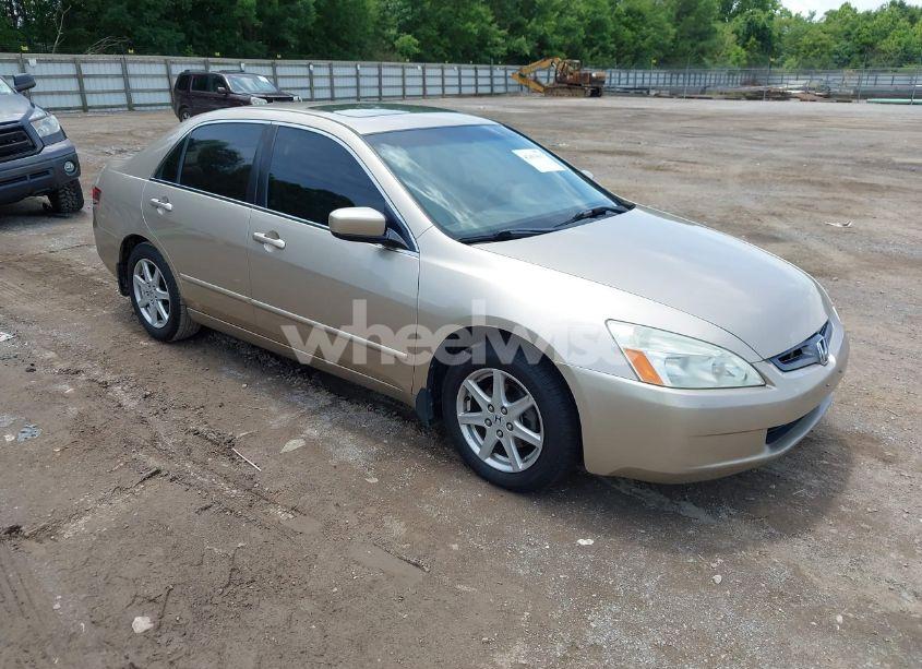 2004 Honda Accord 3.0 EX (VIN 1HGCM66584A079202) main photo