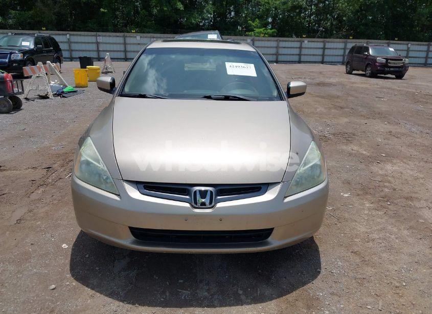 Photo 6 of 2004 Honda Accord 3.0 EX (VIN 1HGCM66584A079202)