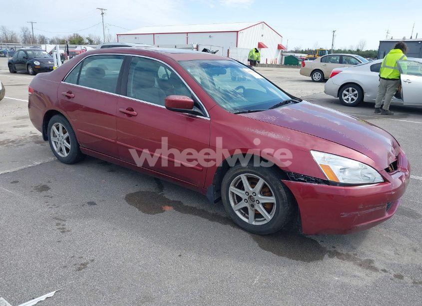 2004 Honda Accord 3.0 EX (VIN 1HGCM66584A084478) main photo