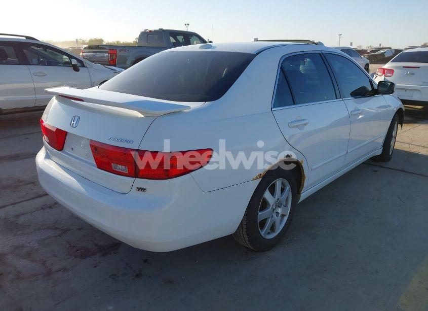 Photo 4 of 2005 Honda Accord 3.0 EX (VIN 1HGCM66585A008275)