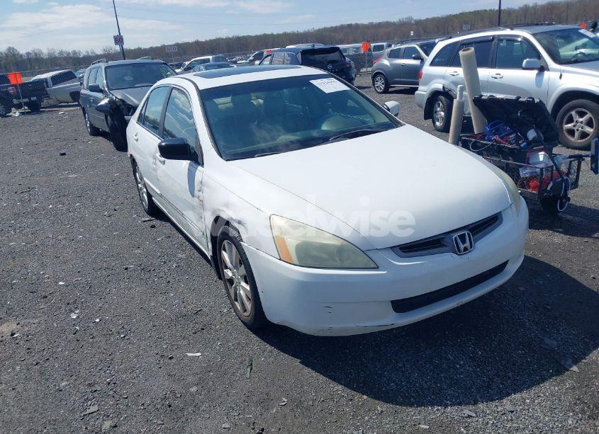 2005 Honda Accord 3.0 EX (VIN 1HGCM66585A068508) main photo