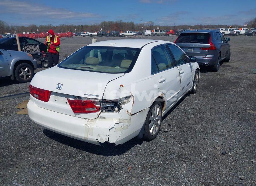 Photo 4 of 2005 Honda Accord 3.0 EX (VIN 1HGCM66585A068508)