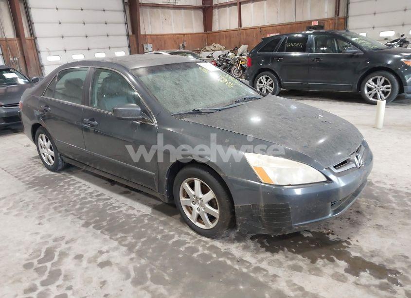 2005 Honda Accord 3.0 EX (VIN 1HGCM66585A077631) main photo