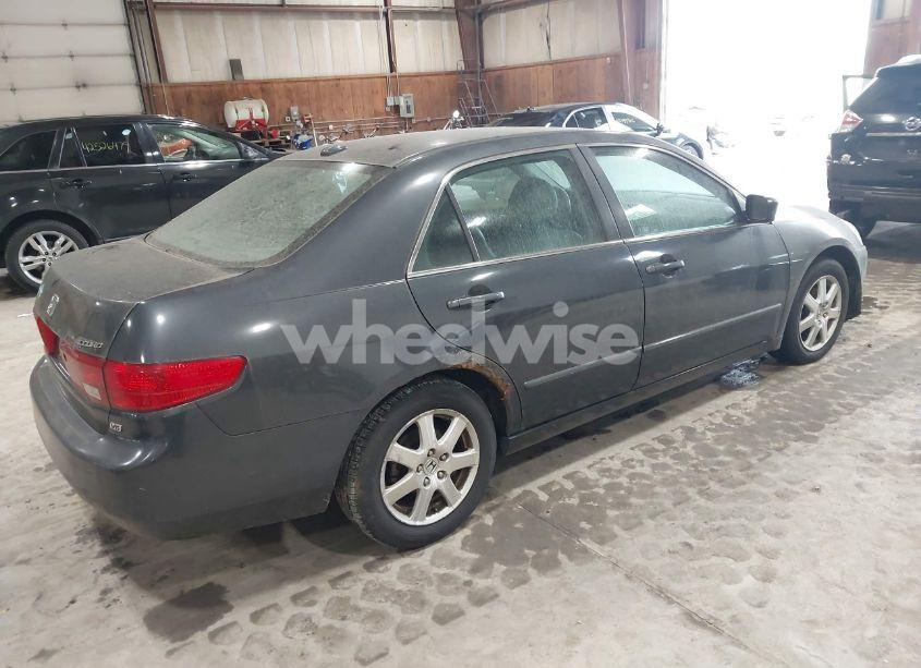 Photo 4 of 2005 Honda Accord 3.0 EX (VIN 1HGCM66585A077631)