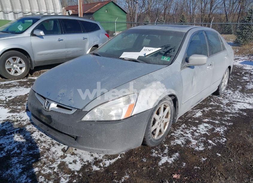 Photo 6 of 2003 Honda Accord 3.0 EX (VIN 1HGCM66593A002921)