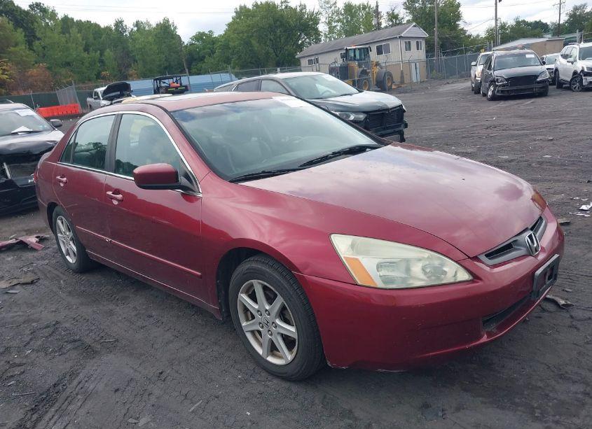 2003 Honda Accord 3.0 EX (VIN 1HGCM66593A007164) main photo
