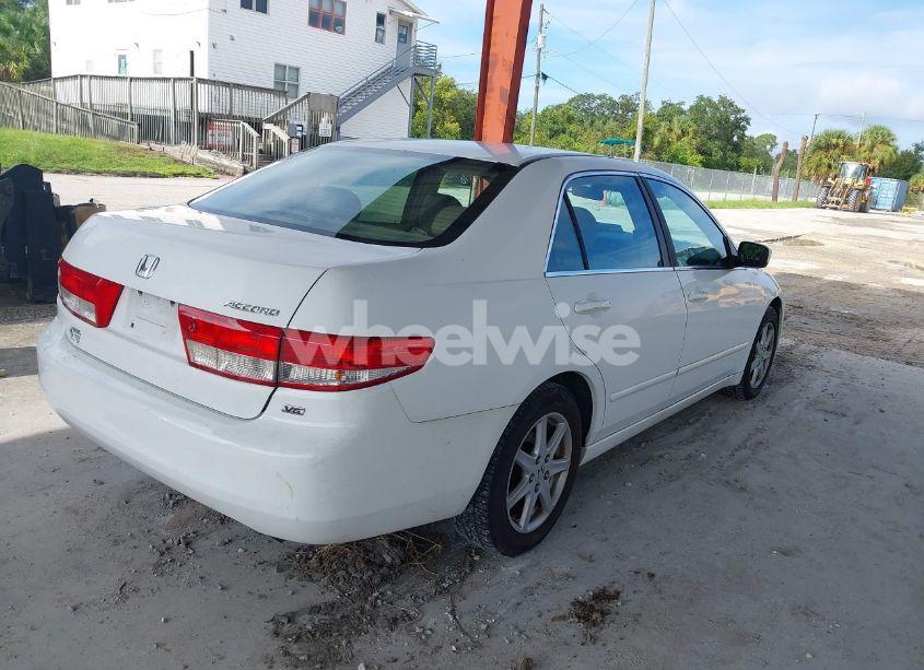 Photo 4 of 2003 Honda Accord 3.0 EX (VIN 1HGCM66593A034493)