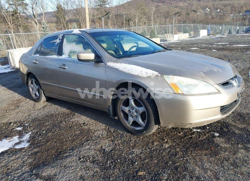 2004 Honda Accord 3.0 EX (VIN 1HGCM66594A009983) main photo