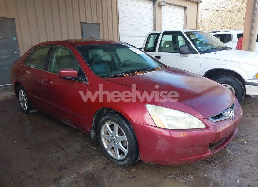 2004 Honda Accord 3.0 EX (VIN 1HGCM66594A017887) main photo