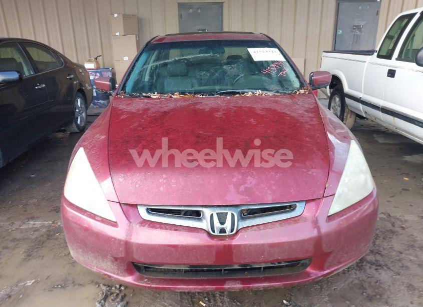 Photo 6 of 2004 Honda Accord 3.0 EX (VIN 1HGCM66594A017887)