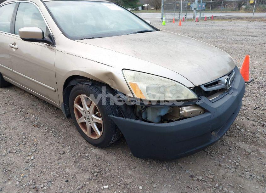 Photo 6 of 2004 Honda Accord 3.0 EX (VIN 1HGCM66594A024290)