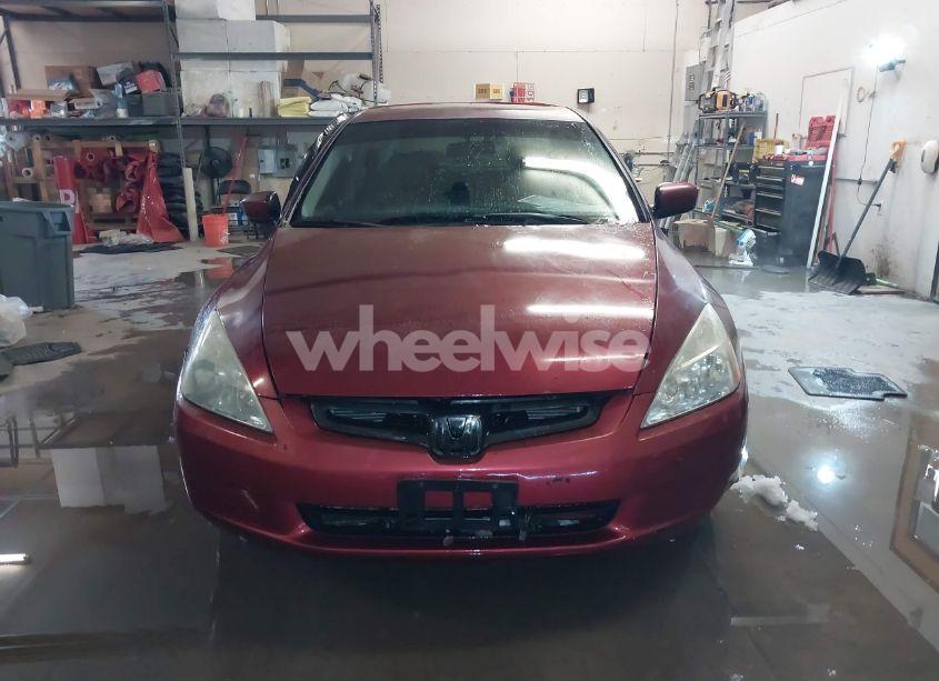 Photo 13 of 2004 Honda Accord 3.0 EX (VIN 1HGCM66594A050386)