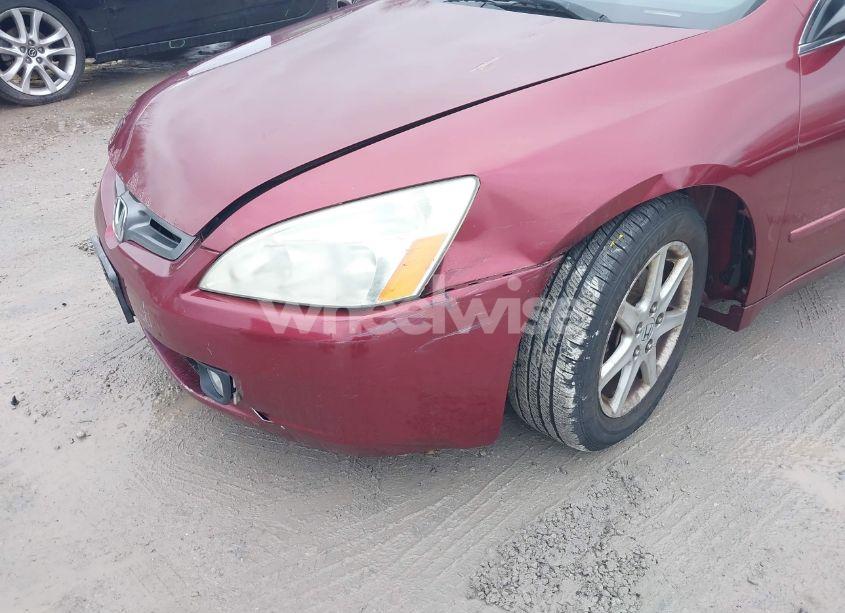 Photo 6 of 2004 Honda Accord 3.0 EX (VIN 1HGCM66594A069326)