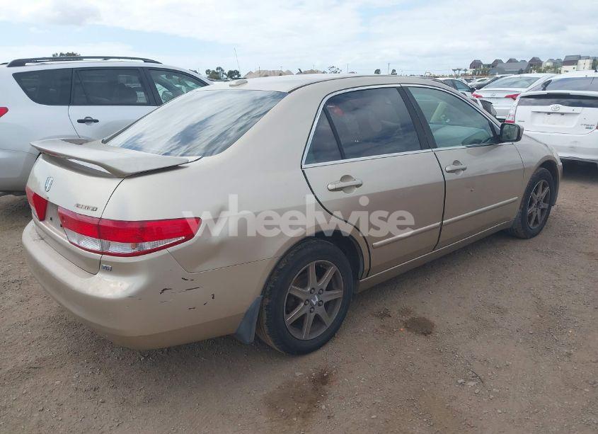 Photo 4 of 2004 Honda Accord 3.0 EX (VIN 1HGCM66594A094842)