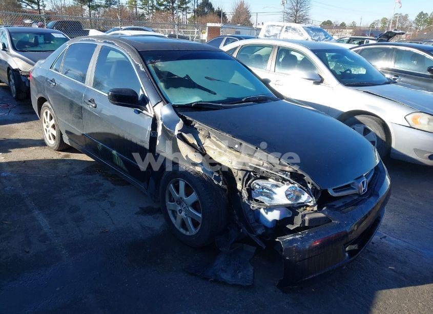 2005 Honda Accord 3.0 EX (VIN 1HGCM66595A016420) main photo