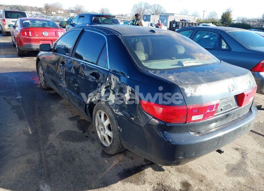 Photo 3 of 2005 Honda Accord 3.0 EX (VIN 1HGCM66595A016420)