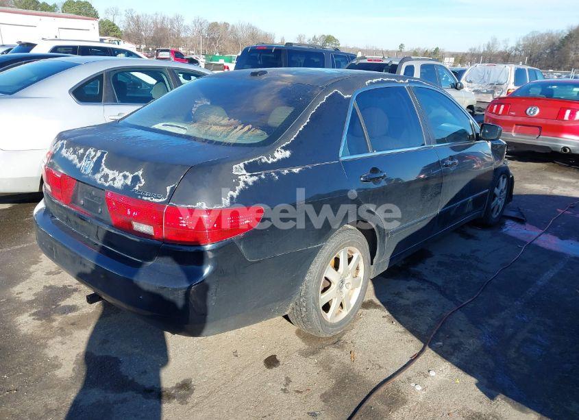 Photo 4 of 2005 Honda Accord 3.0 EX (VIN 1HGCM66595A016420)