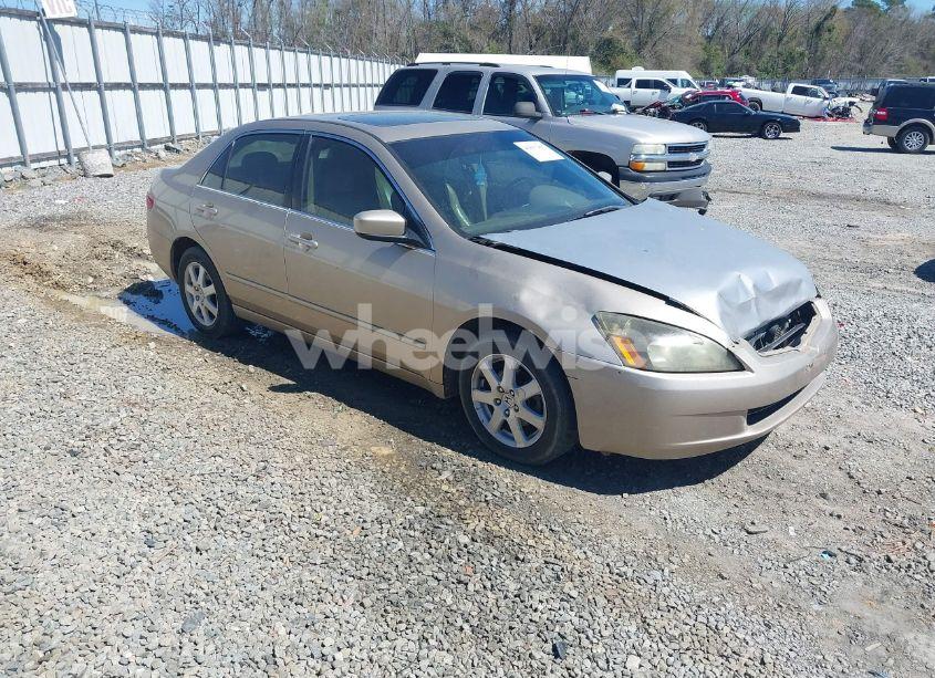 2005 Honda Accord 3.0 EX (VIN 1HGCM66595A069893) main photo