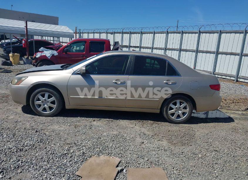 Photo 14 of 2005 Honda Accord 3.0 EX (VIN 1HGCM66595A069893)