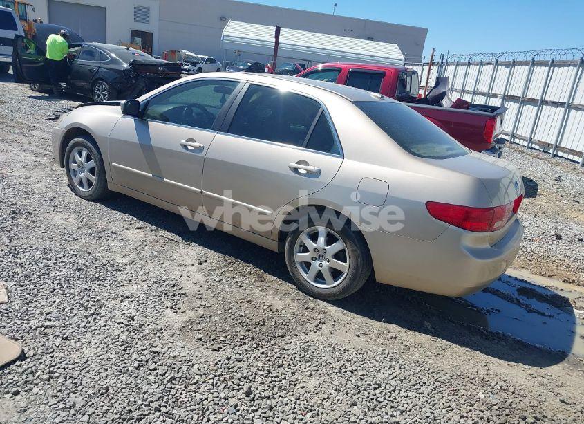Photo 3 of 2005 Honda Accord 3.0 EX (VIN 1HGCM66595A069893)