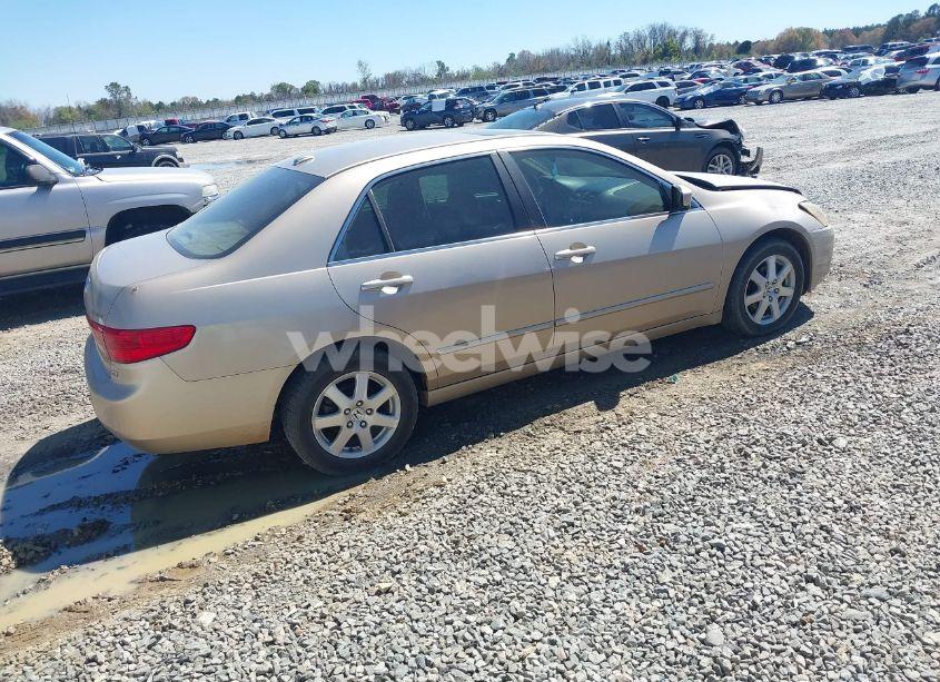 Photo 4 of 2005 Honda Accord 3.0 EX (VIN 1HGCM66595A069893)