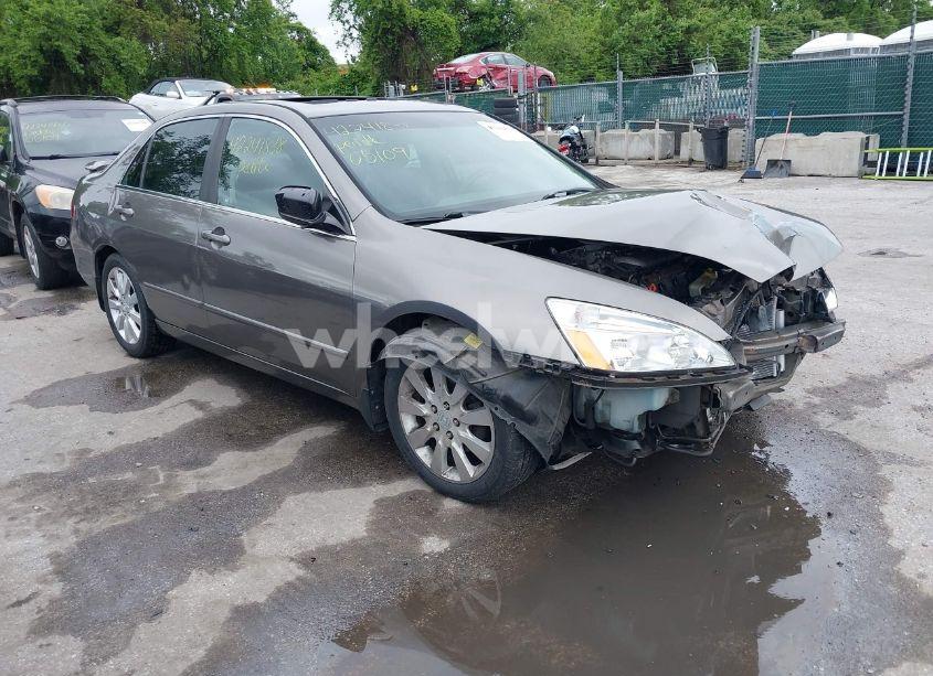2006 Honda Accord 3.0 EX (VIN 1HGCM66596A063397) main photo