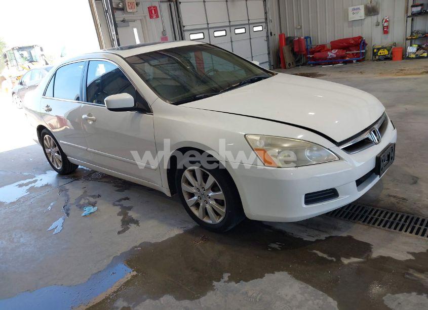 2007 Honda Accord 3.0 EX (VIN 1HGCM66597A105875) main photo
