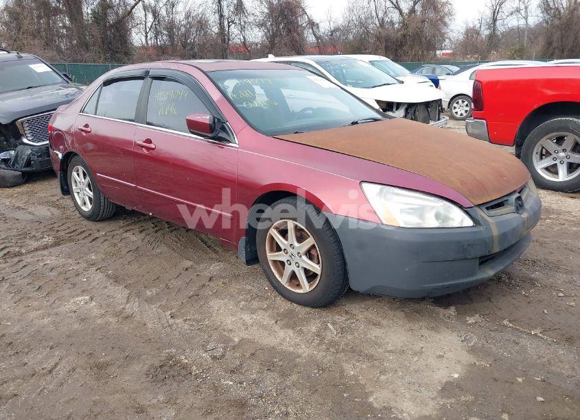 2003 Honda Accord 3.0 EX (VIN 1HGCM665X3A004600) main photo