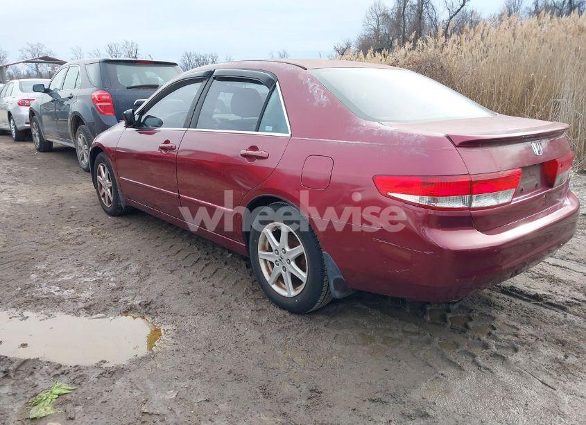 Photo 3 of 2003 Honda Accord 3.0 EX (VIN 1HGCM665X3A004600)