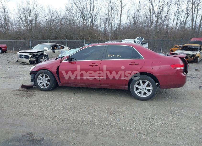 Photo 15 of 2003 Honda Accord 3.0 EX (VIN 1HGCM665X3A074310)