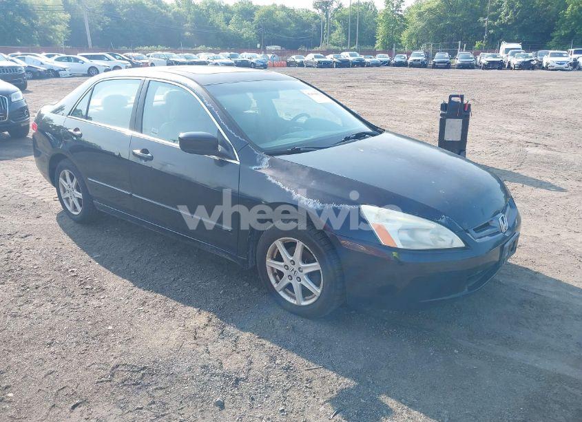 2003 Honda Accord 3.0 EX (VIN 1HGCM665X3A074677) main photo