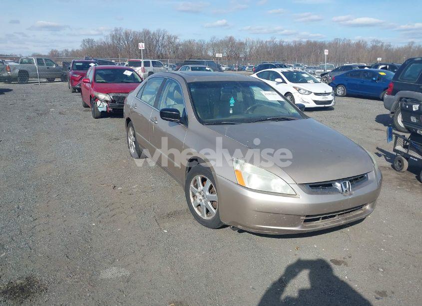 2005 Honda Accord 3.0 EX (VIN 1HGCM665X5A034702) main photo