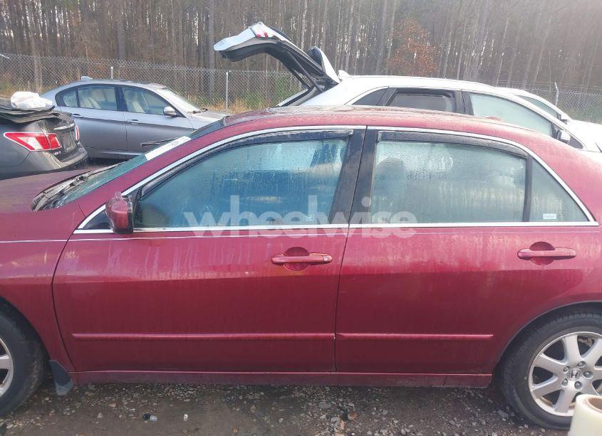 Photo 13 of 2005 Honda Accord 3.0 EX (VIN 1HGCM665X5A073404)
