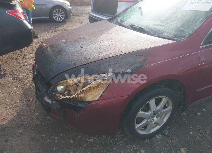 Photo 6 of 2005 Honda Accord 3.0 EX (VIN 1HGCM665X5A073404)