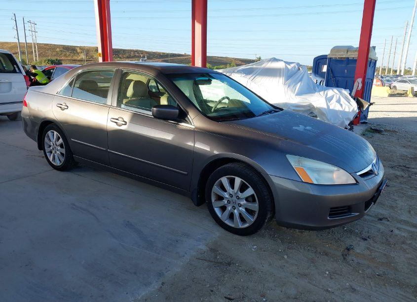 2007 Honda Accord 3.0 EX (VIN 1HGCM665X7A067427) main photo