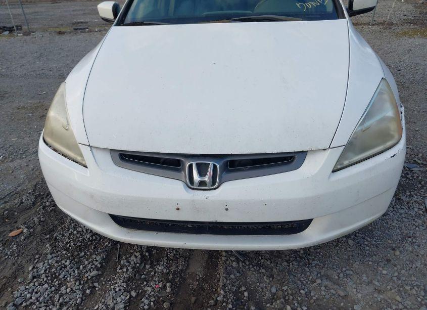 Photo 6 of 2004 Honda Accord 3.0 EX (VIN 1HGCM66804A071167)