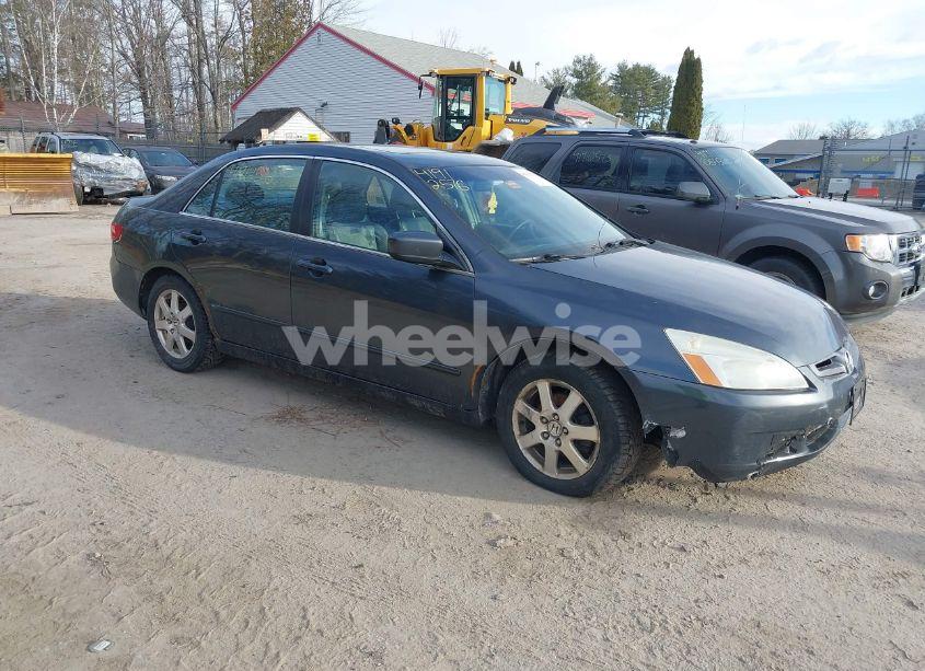 2005 Honda Accord 3.0 EX (VIN 1HGCM66805A054161) main photo