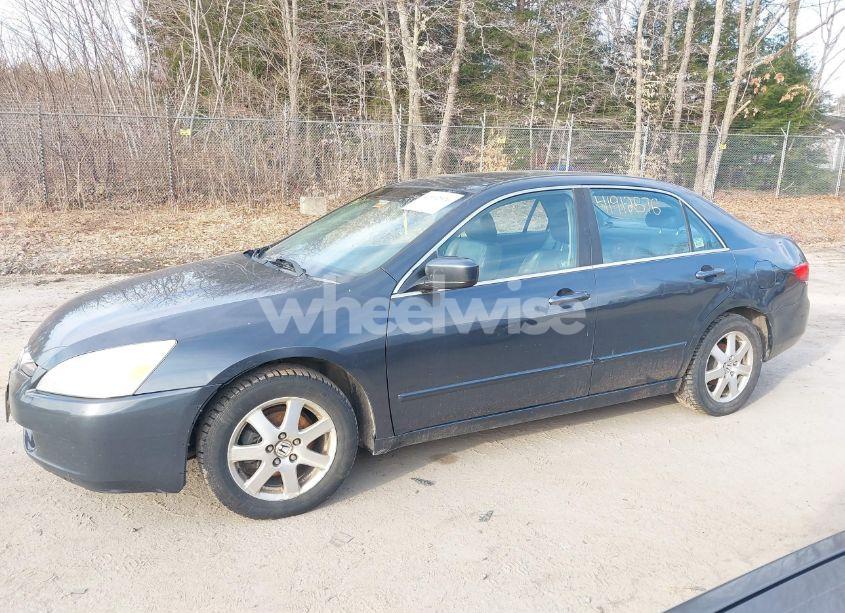 Photo 12 of 2005 Honda Accord 3.0 EX (VIN 1HGCM66805A054161)