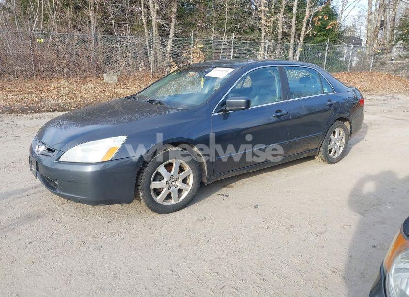 Photo 2 of 2005 Honda Accord 3.0 EX (VIN 1HGCM66805A054161)