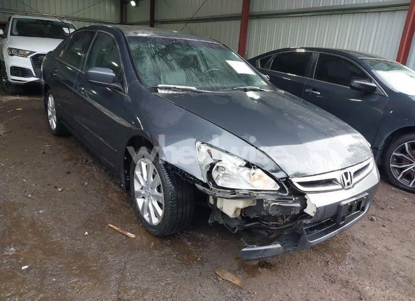 2006 Honda Accord 3.0 EX (VIN 1HGCM66816A060035) main photo